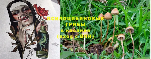 соль курить ск Арсеньев
