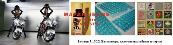 apvp Аркадак
