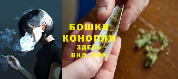 apvp Аркадак