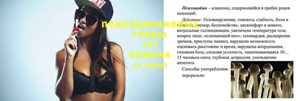 apvp Аркадак