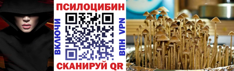 Галлюциногенные грибы Cubensis  сайты даркнета формула  Буинск 