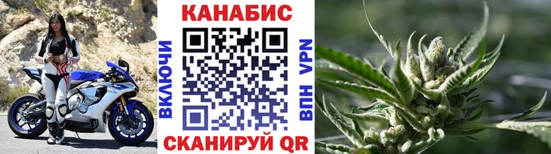 Конопля планчик  Буинск 